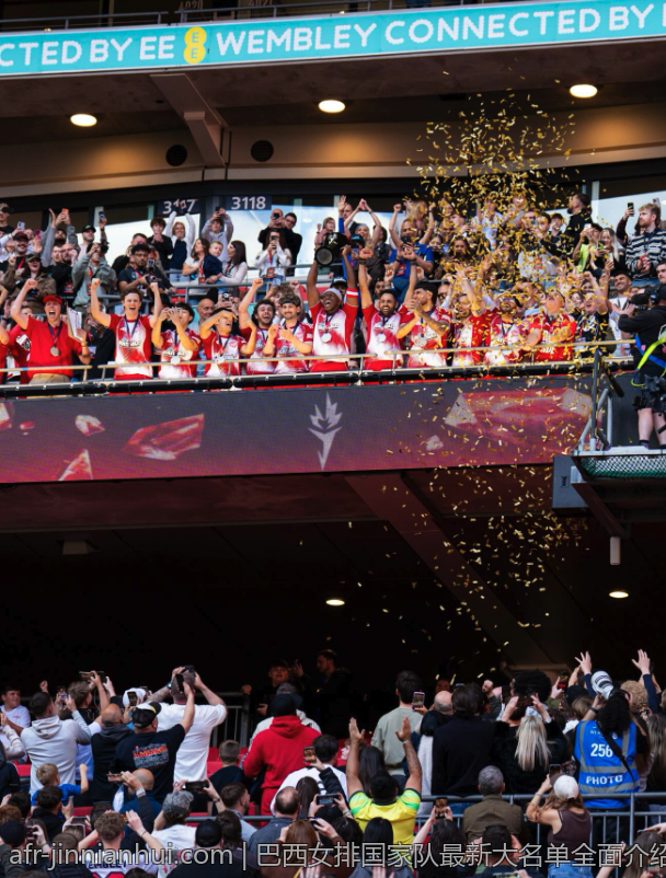 巴西女排国家队最新大名单全面介绍